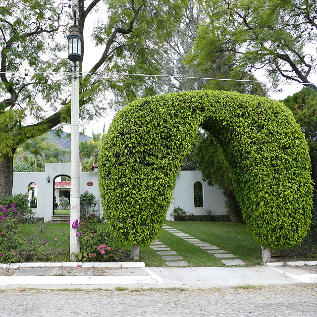 Ajijic am Lago de Chapala