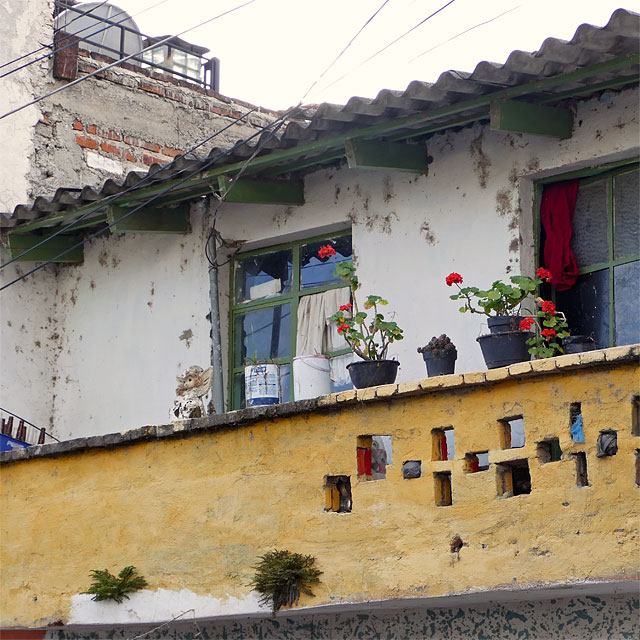 Ajijic am Lago de Chapala