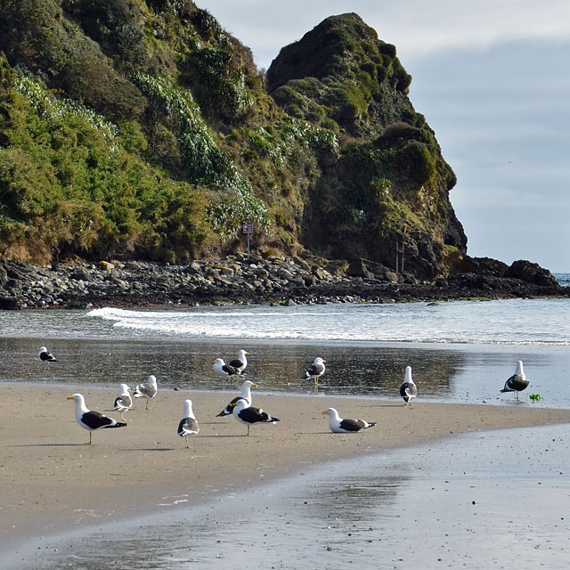 Ancud auf Chiloé