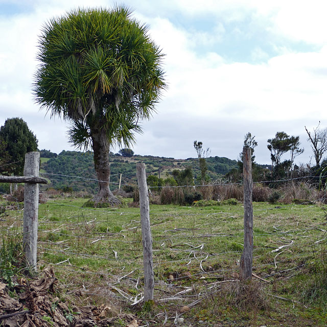 Ancud auf Chiloé