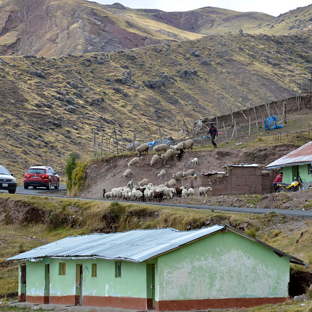 Ayacucho