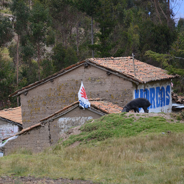 Ayacucho