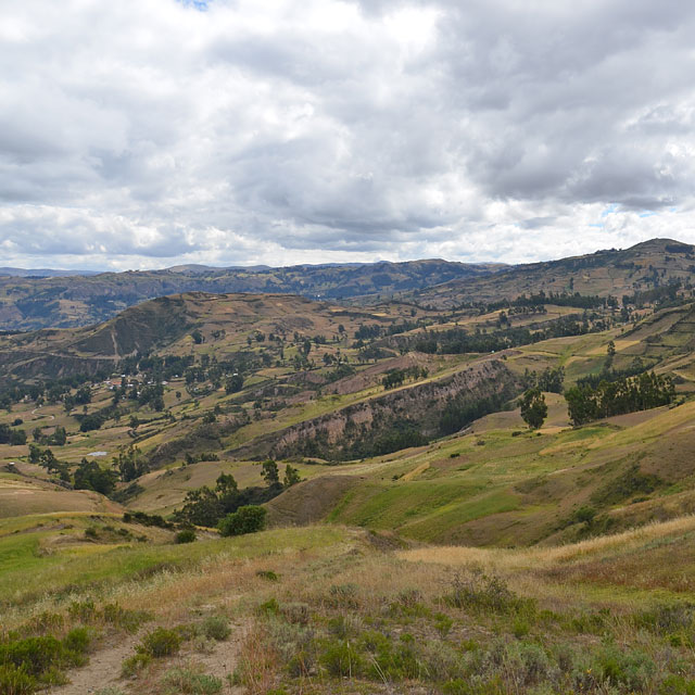 Ayacucho