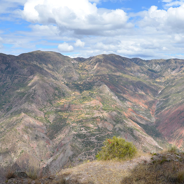 Ayacucho