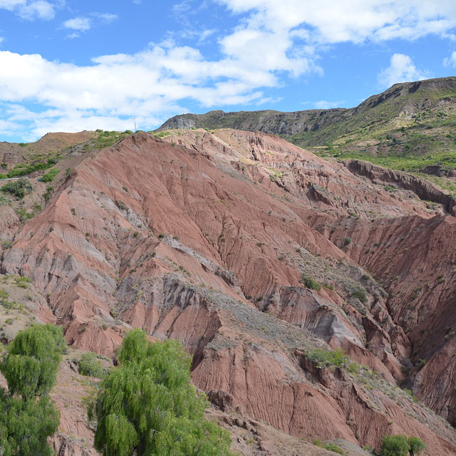 Ayacucho