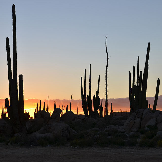 Bahía de los Ángeles