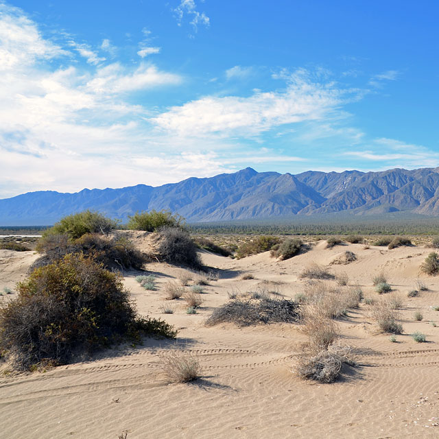 Bahía de los Ángeles