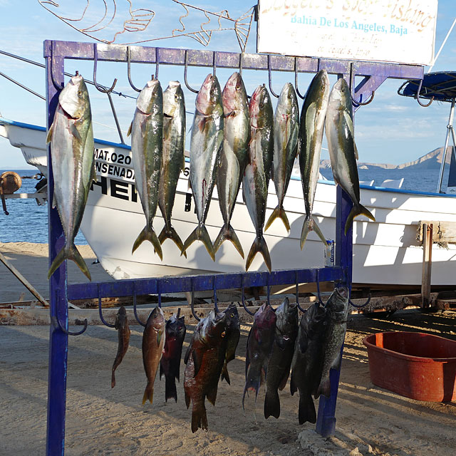 Bahía de los Ángeles