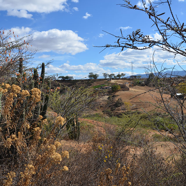 Bahía de San Agustín