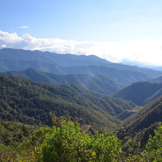 Bahía de San Agustín