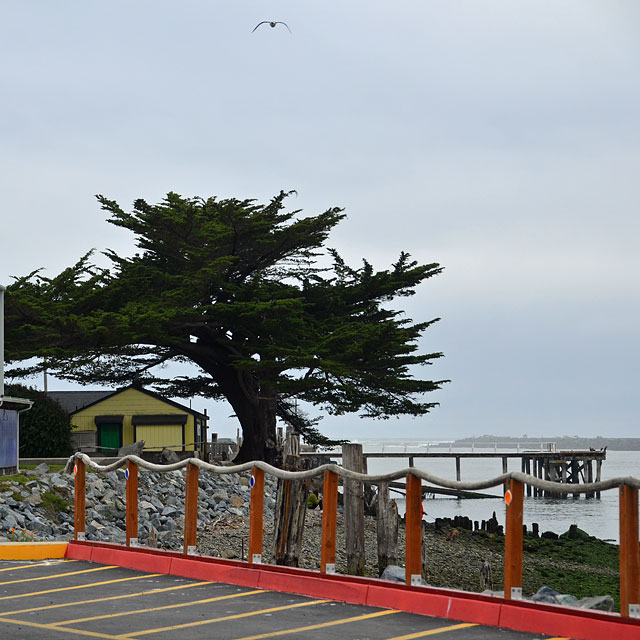 Brookings in Oregon