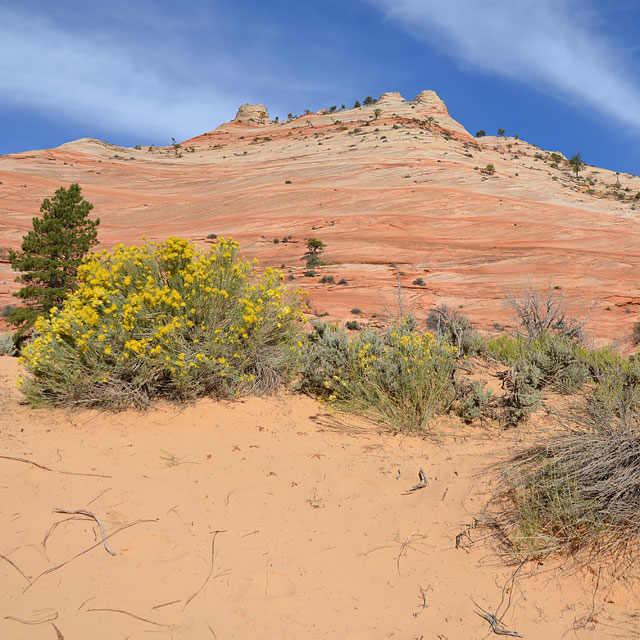 Bryce Canyon