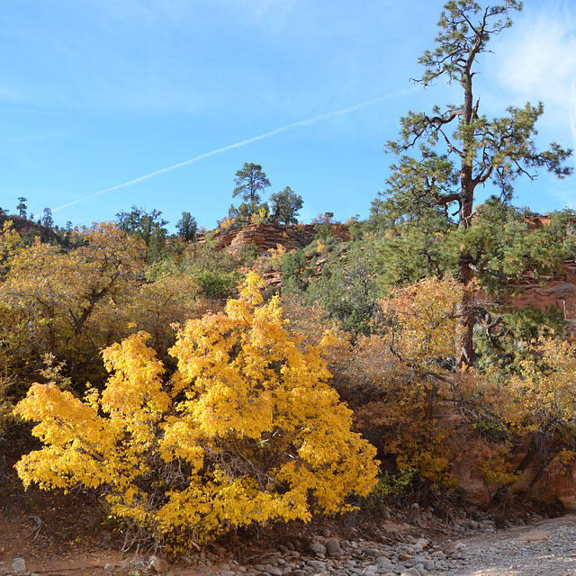 Bryce Canyon