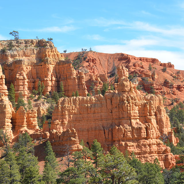 Red Canyon