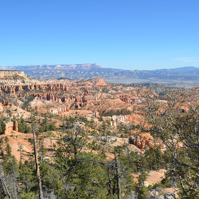 Bryce Canyon