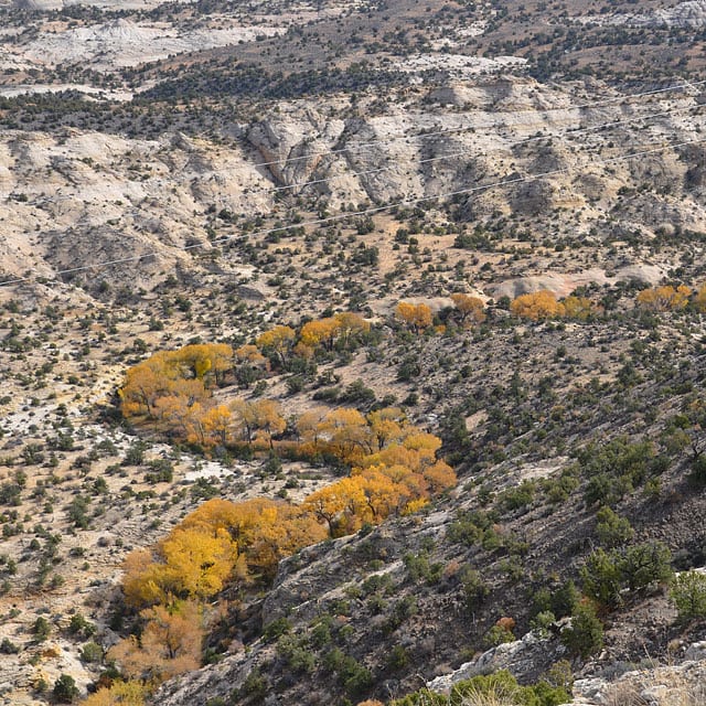 Bryce Canyon