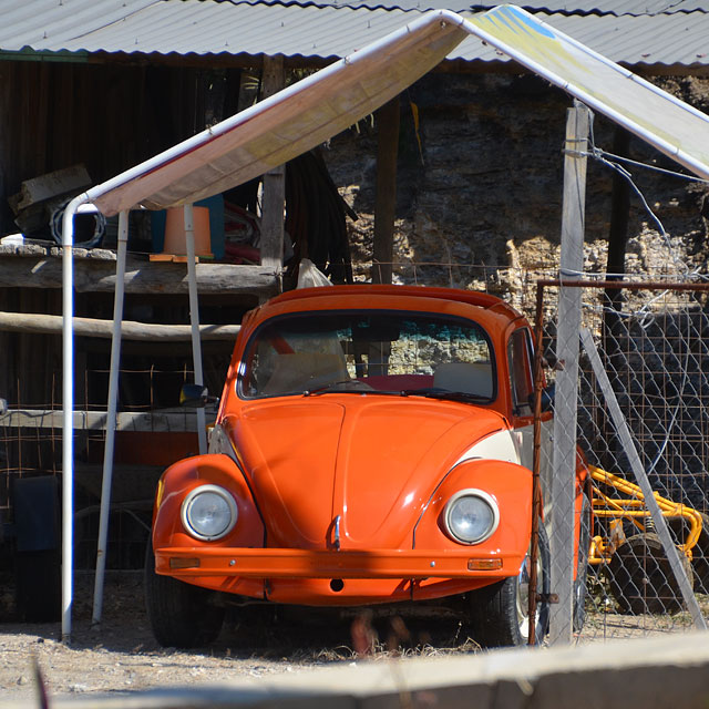 Büdchens Freund in Mexico