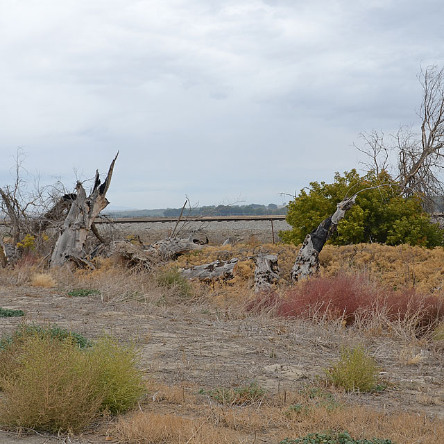 Burns in Oregon