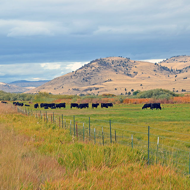 Burns in Oregon