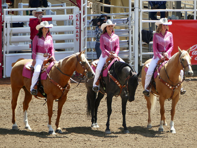 Tour nach Calgary in der kanadischen Provinz Alberta Calgary