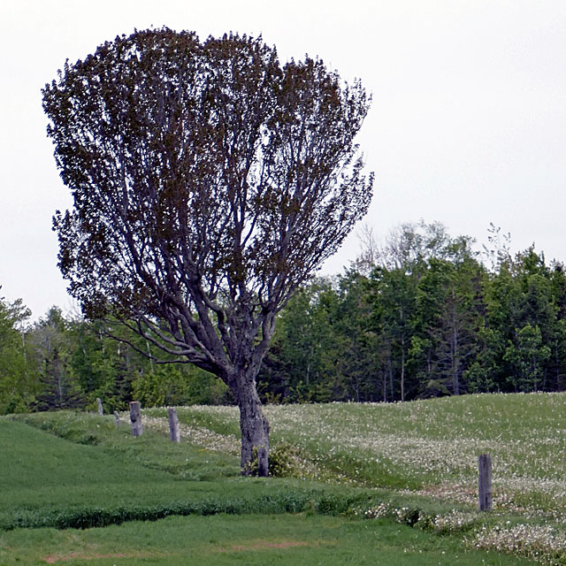 Prince Edward Island