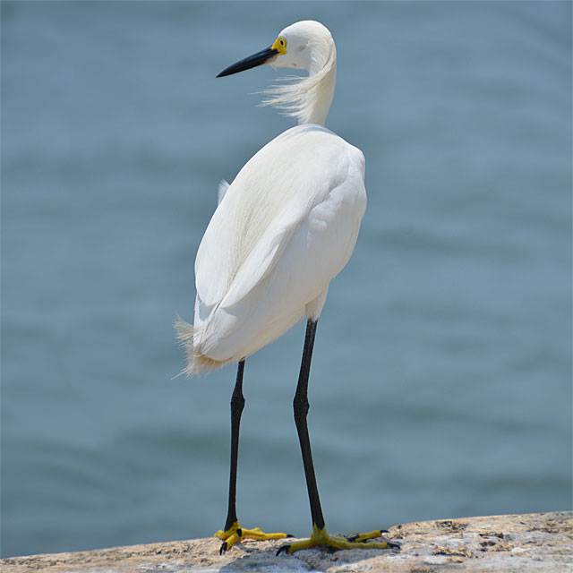 Cartagena