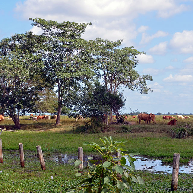 Chetumal