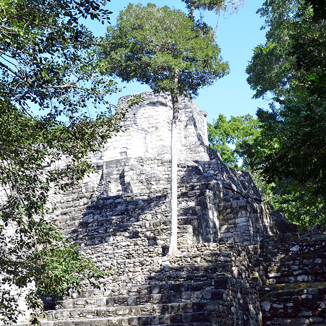 Calakmul