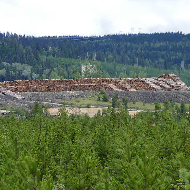 Chetwynd in British Columbia