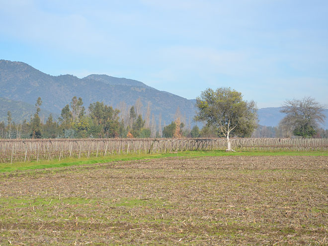 Von Santa Cruz nach Chillan in Chile Chillán in Chile