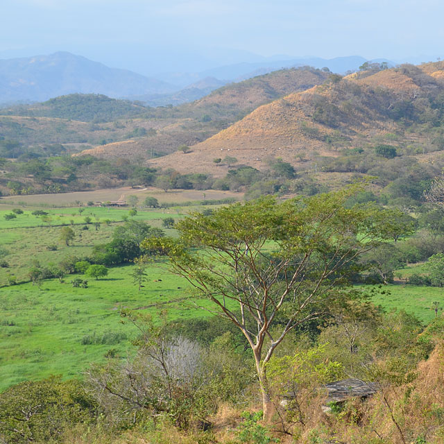 Ciudad Pedro de Alvarado