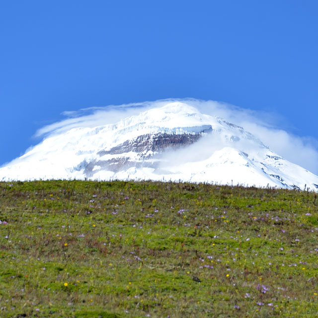 Cotopaxi