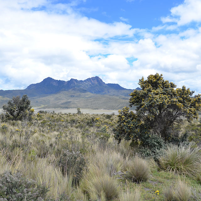 Cotopaxi