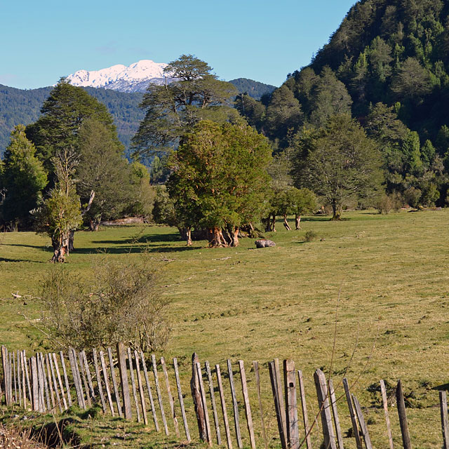 Coyhaique