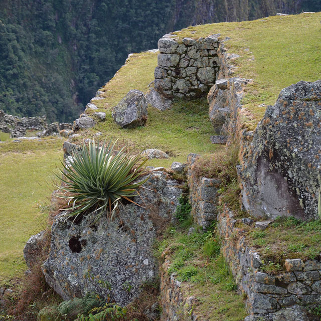 Cusco