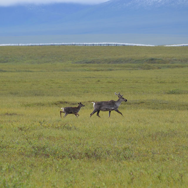 Dalton Highway in Alaska