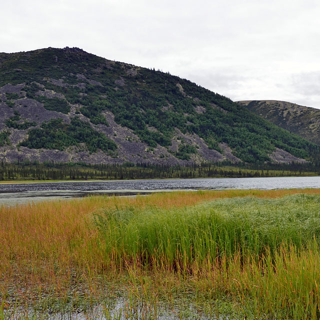 Dalton Highway