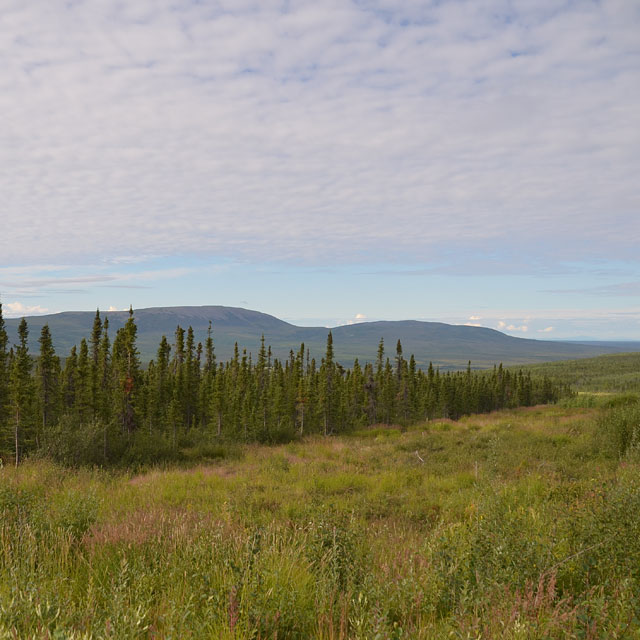 Dalton Highway