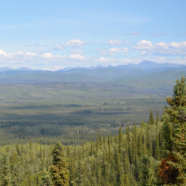 Unterwegs nach Dawson City