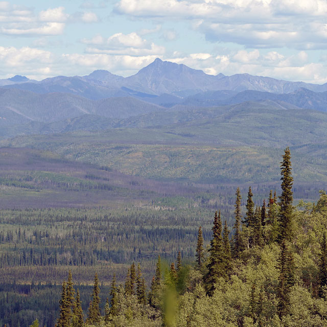 Unterwegs nach Dawson City