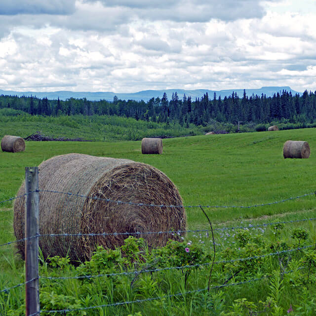 Unterwegs nach Dawson Creek in British Columbia