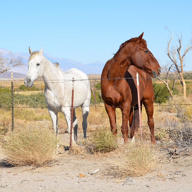 Death Valley