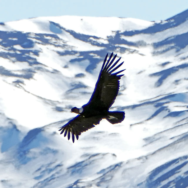 El Chaltén