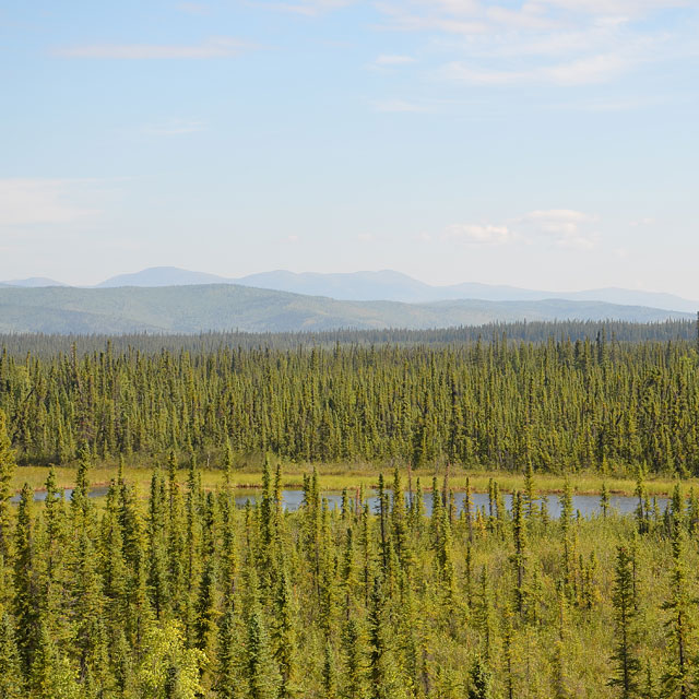 Unterwegs nach Fairbanks