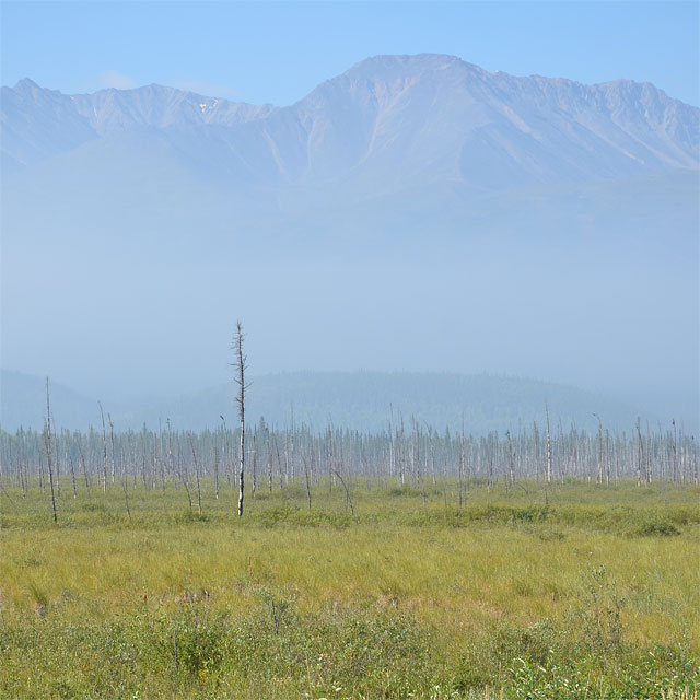 Unterwegs nach Fairbanks