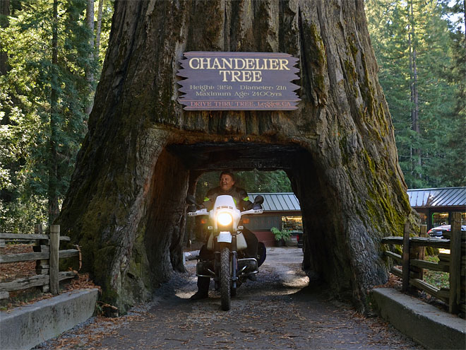 Von Fortuna nach Fort Bragg in Kalifornien Fort Bragg