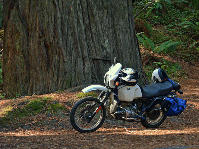 Von Brookings nach Fortuna in Kalifornien Von Brookings nach Fortuna in Kalifornien