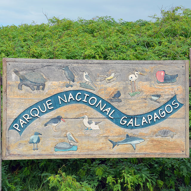 Galapagos