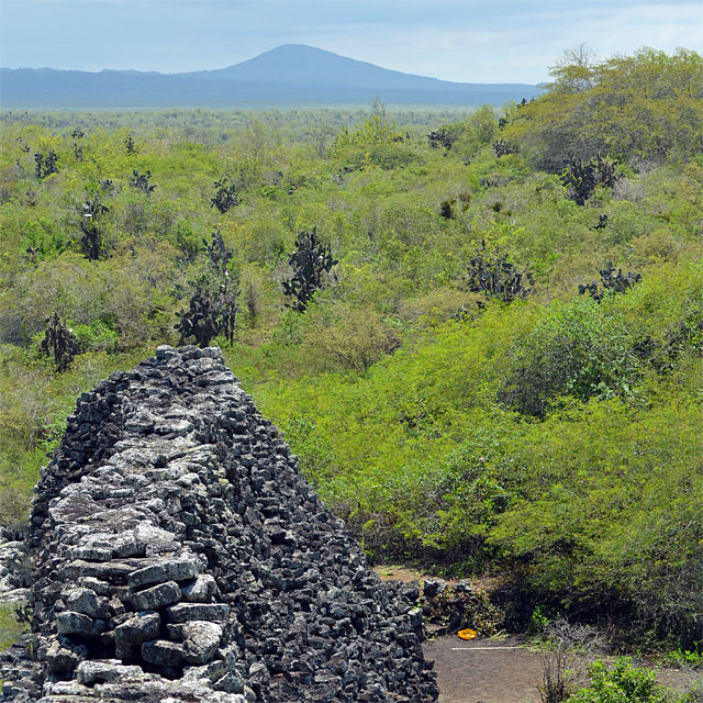 Galapagos