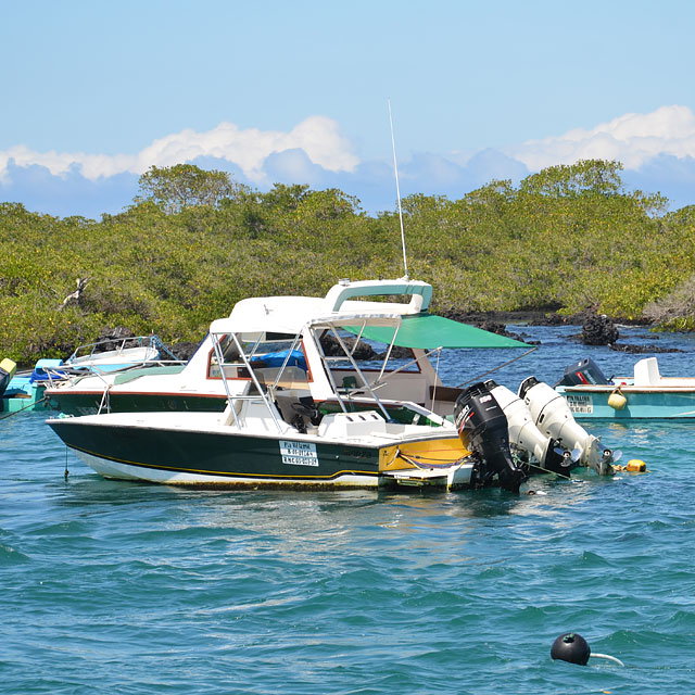 Galapagos